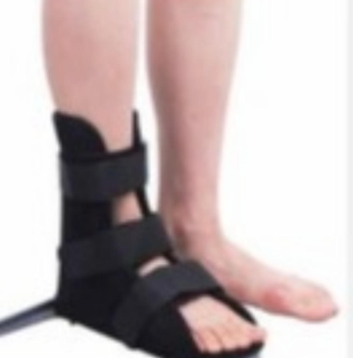 [3000028] BOTA WALKER SIMPLE